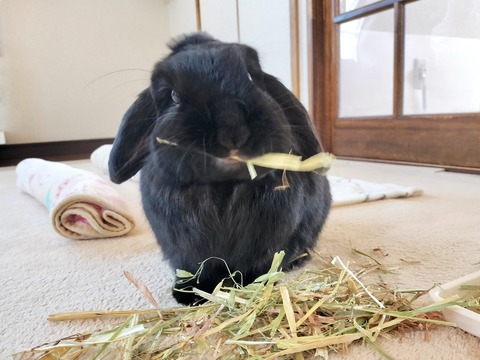 E9670C78-4388-4132-A8DC-397859664460