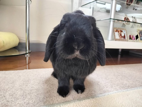 BF7B67C6-9F0B-4B34-9C04-25C39BBBA2E3