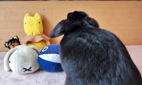 BEC30B41-9F65-4F60-BA80-59E7EB303693