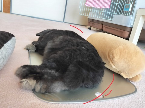 D6E3DBAB-7D57-4AB5-8A72-4855A2348263