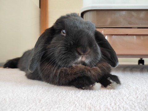 29731E51-9081-47E4-A49D-8007A1EDE2FF