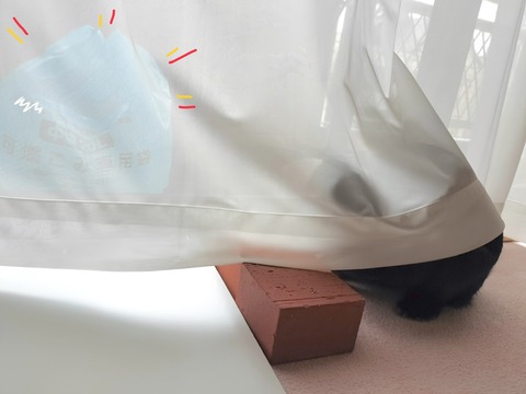 72307A98-6CF9-42E2-BA45-DE3AB00CFBA9