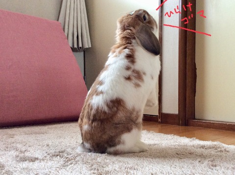 03229402-7C39-45D0-971C-D8C62973AB81