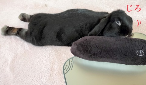 FCD5659F-121D-4F6C-B174-301B1C47592E