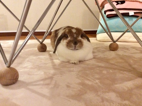 C28C6D2E-B48B-45A1-A890-2D67AD31DC2C