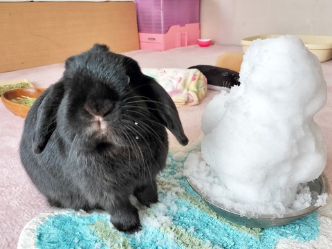 7FDB4346-BBED-48BC-AE4C-938FC8ECAB67