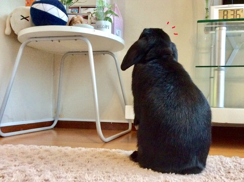 C7F7FE52-18F2-46F6-A810-2A31613E96DD