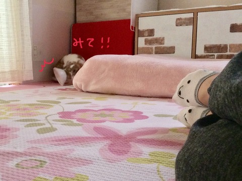 6C40C9A4-B32C-4E52-863D-933FC97086AB