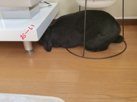 2BF20831-A4B6-422A-AEFF-9BA221EA1F5B