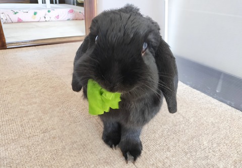 C5A6467C-C74E-4581-A4C2-B58839AC6A0E