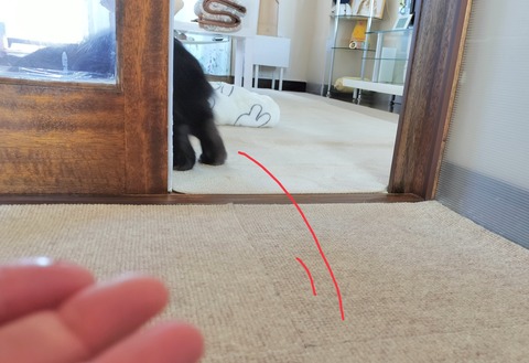 B425F650-5D01-482A-9A43-22CD4869CFEC