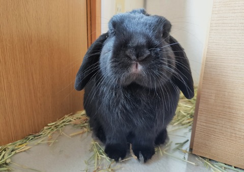 8B941DA4-F8F9-4492-BA62-CC72644825BE