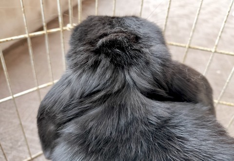 8C991080-F63C-4DD1-82A7-0104CF508B5E