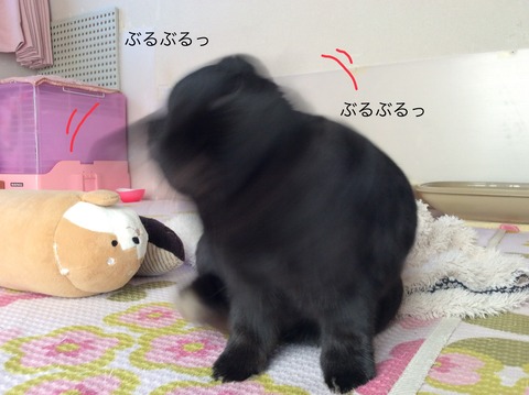 4157E5F6-4A20-464D-81EE-3EB80B703250