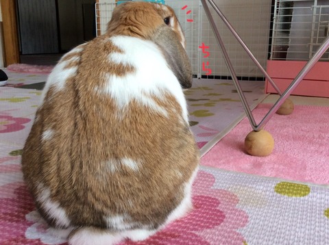 C57541A0-CB43-49A4-8A48-04B44118D353