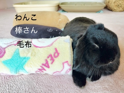 0AAB13E3-12AF-42F8-A3ED-70387054F613