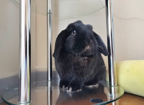 ACFC4FF0-82D4-466C-95EB-C691CEC49EF4