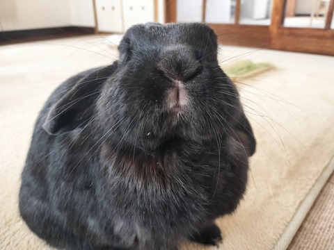 92A32174-8A87-411C-B438-B4F5F14152AE