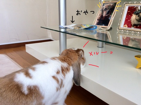 18D33535-497E-4D4B-8C52-3ADA5024F5C5