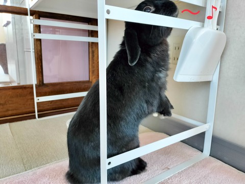 2D9D5D85-DD15-4913-BA13-A731F6307496