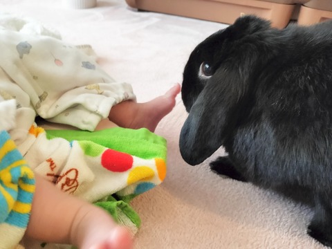 41A46485-4479-4E9A-AA7B-16B5F937C2CF