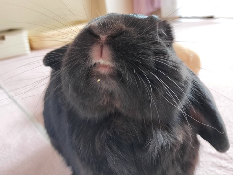 173B66EC-6B46-499C-BAEC-F0138EE95E74