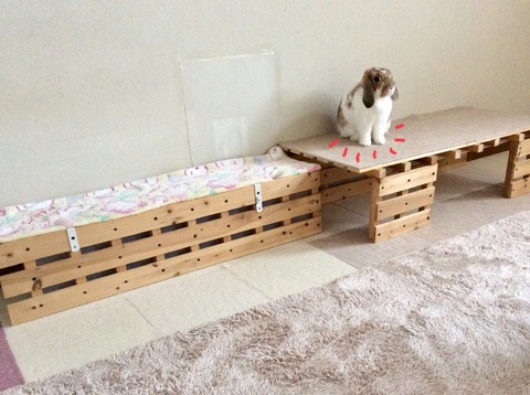 0CD03807-59D4-4C70-B191-42F928DF28F8