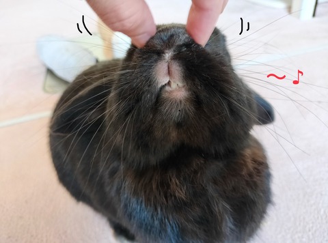 87789440-B790-41F3-8F92-A91179B95235