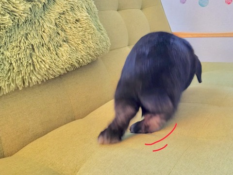 2140F665-0365-4F06-913C-1FABCB416768