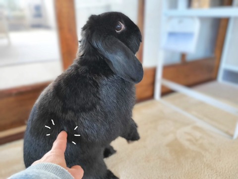 ECBE4EE0-B3C7-43B0-AC26-21FFE0331812