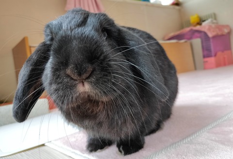 1E3DDBF2-845D-46E2-B83C-3E787ED14CF1