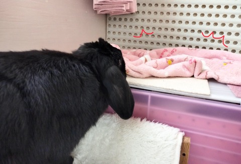 6D9B97C6-8629-4C66-9819-D53EECE6D147