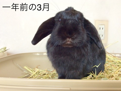 6123BDC6-551A-43B4-A17C-C57CE84FFCD6