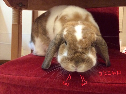 E9C85EAA-FBFA-4906-964F-80B51D7DC0C3