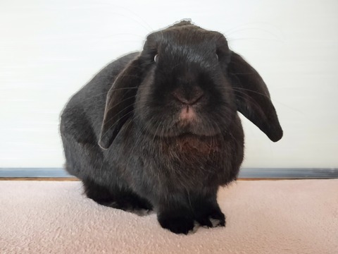 D104FA3F-4380-4C92-BF51-7C437091B480