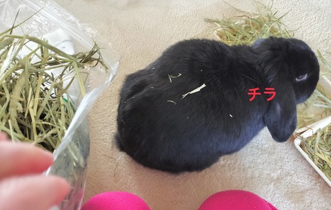 40525C0B-EEC3-46B9-B2B2-EB0E25DFB2F8