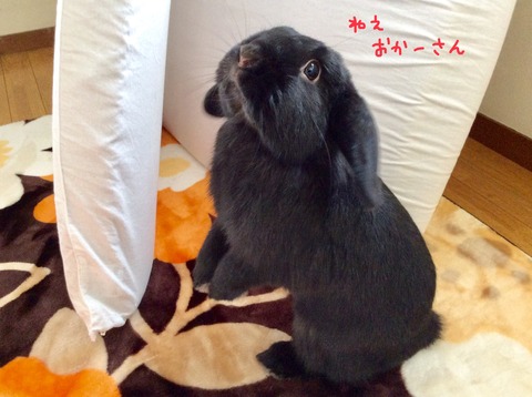 4AF49D98-D37C-4184-893E-C7C8613CE7DA