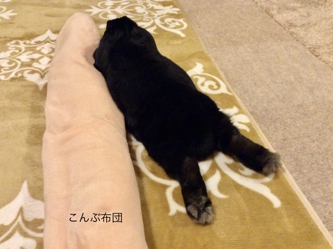 8BD49C99-8AFF-4111-BD16-2142266278F1