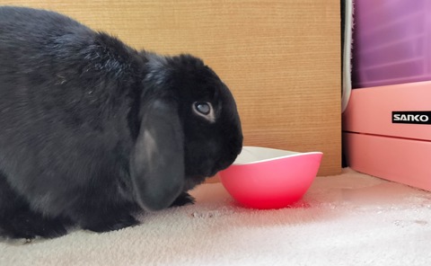 03491E80-75F0-4153-A81A-6B1E444BF8AC