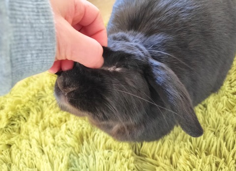 09B4C880-B8CD-4444-BA88-F4C041B0D664