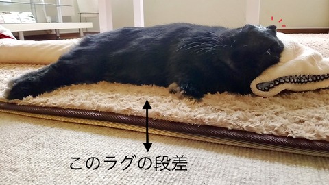 DD029D4F-00A9-4DDB-863A-13D2CBD68DB6