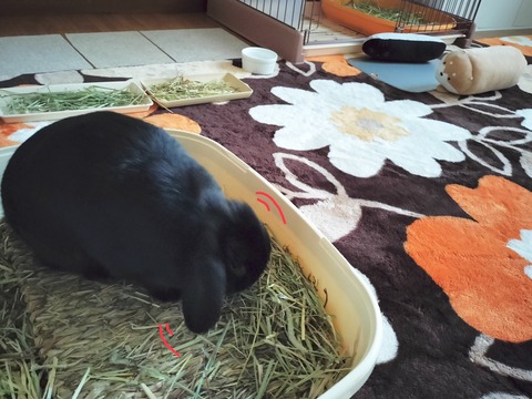 A75D75BF-0694-4FBD-8EDA-85052855C6E5