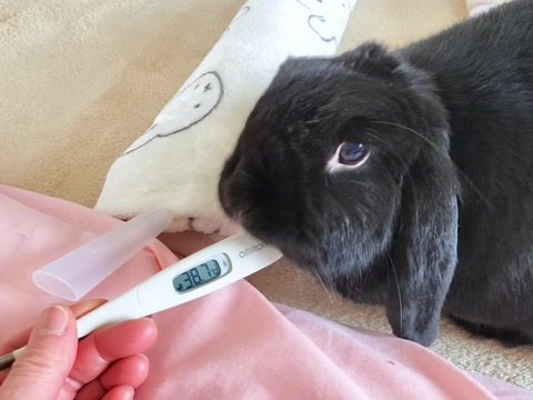 552FAD3D-CB98-44A8-9C0B-DFA08ABBD419