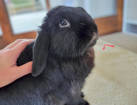 3AAA5E76-2EC4-4470-8EC7-74DD390137FA