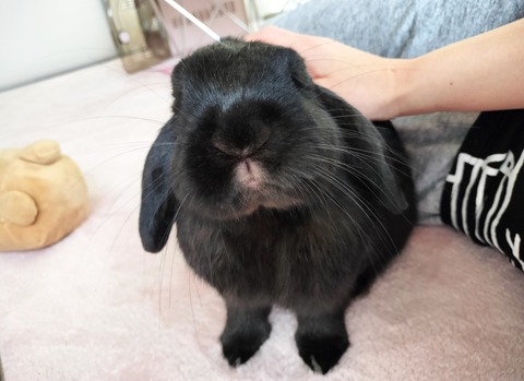 7CD814EC-8ED0-4C2E-93BE-9B2B1E0DCE0D