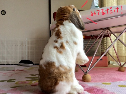 EC298E54-3549-4C85-8CCA-5E4BC5B2C4B8