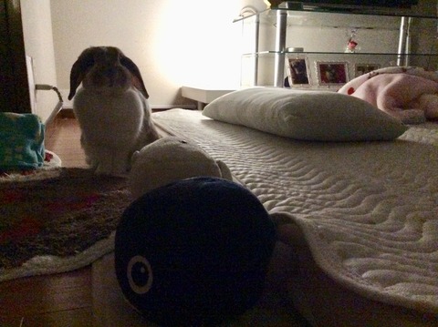 2F6C432C-A2AF-448B-85A6-25FCDB248132