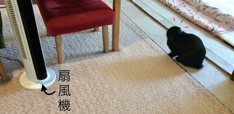 4433ABA2-1246-4A4A-B30C-2AA935543DAF