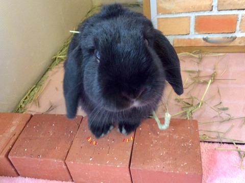 4E4947A5-F56E-4522-A7E7-5543F937D31D