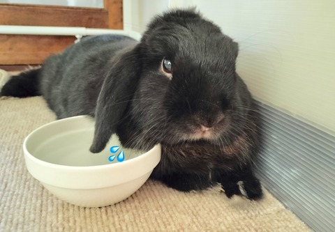 BE9F8A9B-B58A-461B-92BA-1CEB979A5835